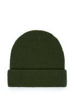 Load image into Gallery viewer, Beanie with Ted Logo