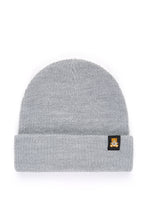 Load image into Gallery viewer, Beanie with Ted Logo
